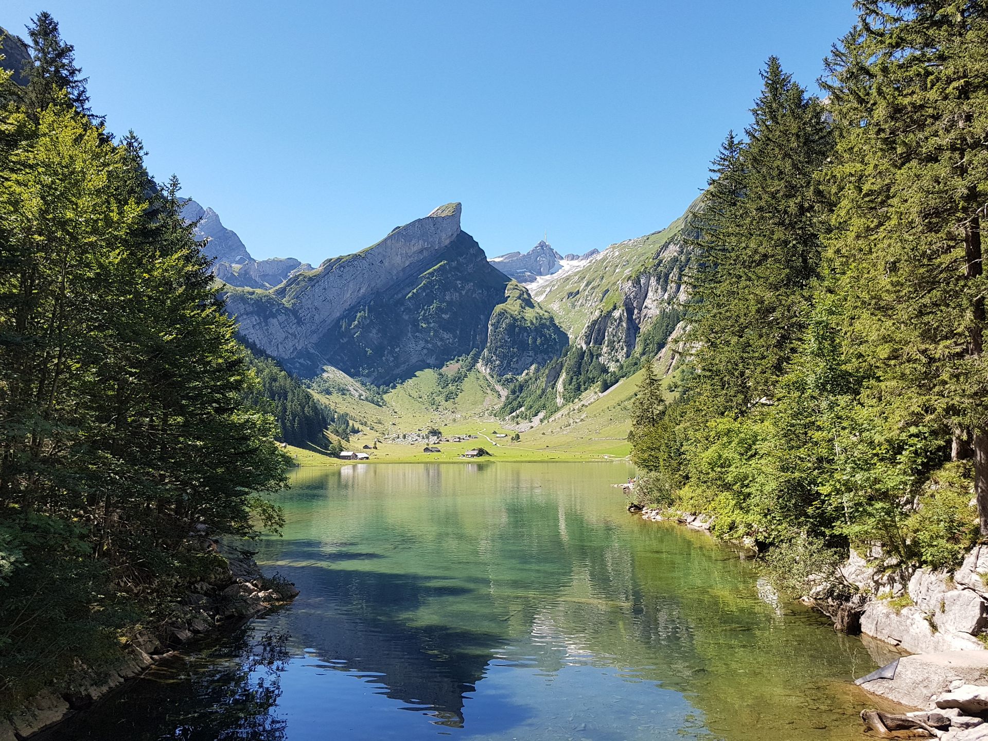 Seealpsee, Wasserauen